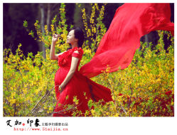 20130406142725058-艾文全家福亲子孕妇摄影馆(银基王朝店)