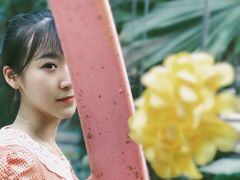 -大塘金香草谷