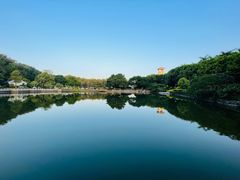 -三水森林公园