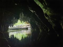 -怀托摩萤火虫洞