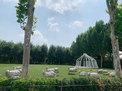 -九十九顶毡房(阜石路店)