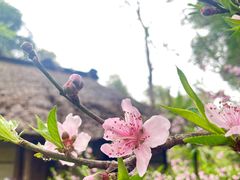 -成都杜甫草堂博物馆