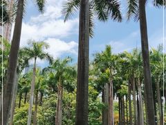 -燕晗山郊野公园