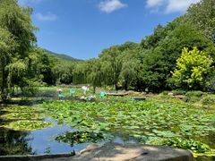 -棒棰岛宾馆景区