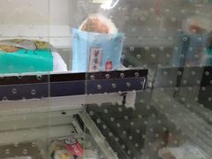 -全家便利店(南峰中心店)