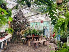 -石家庄市植物园