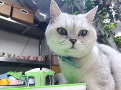-小时光咖啡馆(北锣鼓巷店)