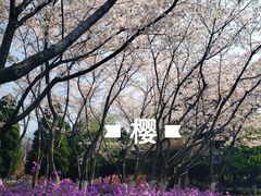 -白塘生态植物园