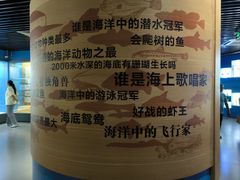 -青岛海底世界-水族馆
