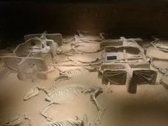 -洛阳周王城天子驾六博物馆