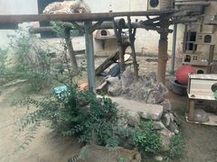 -青藏高原野生动物园