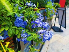 -一叶觅山(半边街店)