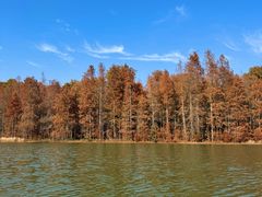 -上海海湾国家森林公园