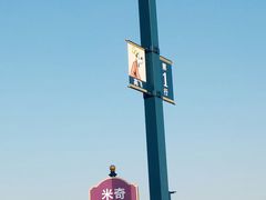 -迪士尼乐园停车场