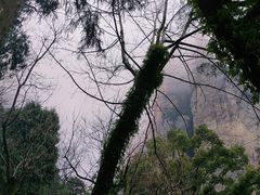 -雁荡山灵峰景区