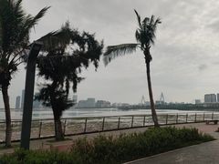 -万绿园