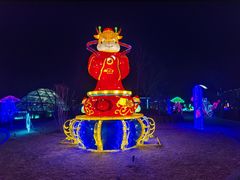 -南宫五洲植物乐园