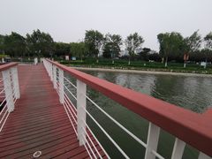 -天津金海湖