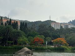 -厦门大学(思明校区)