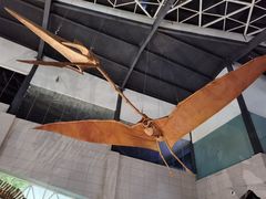 -湖南省地质博物馆