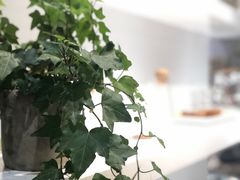 -OCE(熙地港购物中心店)