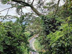 -黄埔油麻山森林公园