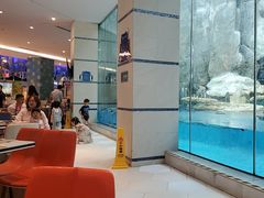 -帝企鹅自助餐厅•儿童岛•真企鹅(长隆企鹅酒店)