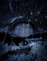 -静安洲际酒店·宴会厅