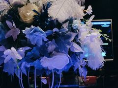 -MD KTV(居然之家店)