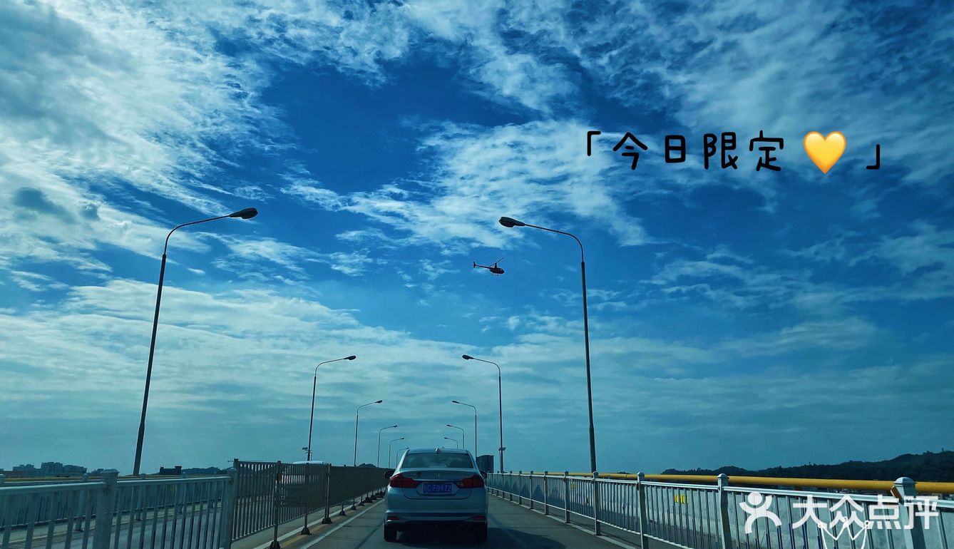 海鸥岛游啊游