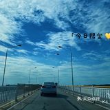 海鸥岛游啊游