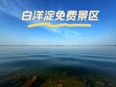 -白洋淀景区