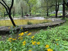 -沕沕水生态风景区