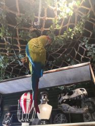 -奇幻丛林(佛罗伦萨小镇店)