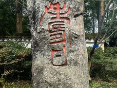 -南山植物园