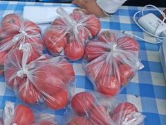 -西部长青自然儿童乐园