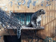 -青藏高原野生动物园