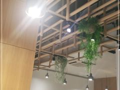 大堂-红辣椒陶氏丝娃娃(南国花锦店)
