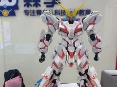 -森孚机器人编程·STEM积木·等级考试(虹口足球场中心)