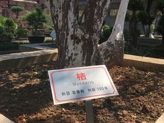 -碧江金楼