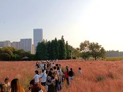 -艾溪湖湿地公园