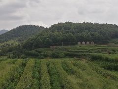 -乌石村