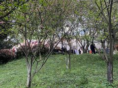 -南山植物园