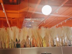 -九毛九西北菜(水荫店)