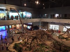 恐龙博物馆-自贡恐龙博物馆