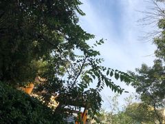 -仁爱团泊湖温泉中心