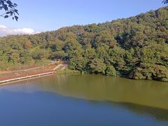 -黄埔油麻山森林公园