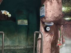 -兴芮温泉度假区