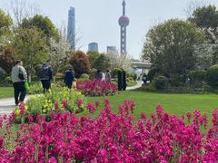 -北外滩滨江绿地