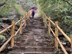 -北京西山国家森林公园